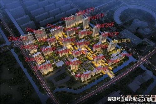 我能看见东西价值，成了富贵花,见证财富与品味的传奇之花